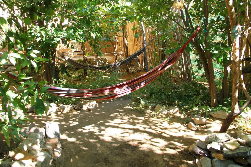 Cabana Hostal Ema Pisco Elqui Exterior photo